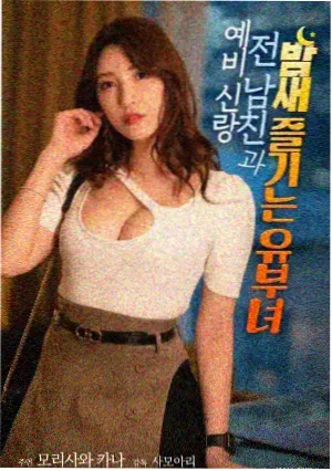 对照角色档案插图